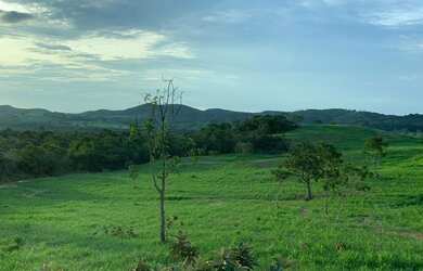 Imagem 5: Fazenda em guaianesia g.o 300 alqueirão 70.000.000.00 lean