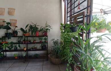 Imagem 10: loja comercial floricultura para aluguel e venda tem 4000 metros quadrados