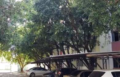 Imagem 8: Apartamento 68m2 com 3 Quartos gt