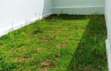 Imagem 12: Casa Geminada para Venda em Frimisa Santa Luzia-MG - 1371