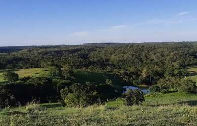 Imagem 4: . Uma Fazenda 110 alqueires 67 km de Porto Nacional