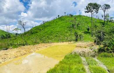 Imagem 2: FAZENDA DE 110 ALQUERES 75 ABERTO SÂO FELIX DO XINGU