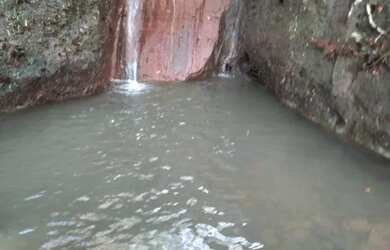 Imagem 13: . Uma Fazenda 110 alqueires 67 km de Porto Nacional