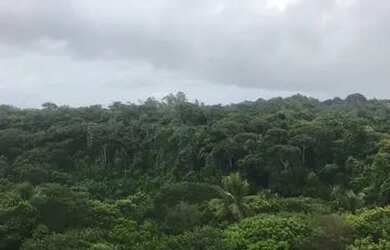 Imagem 5: Vendo ou alugo Apartamento com 2 dormitórios