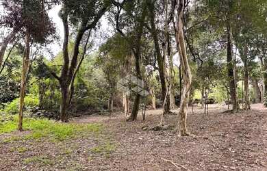 Imagem 16: Propriedade Rural com produção de Uvas e uma casa de Mista