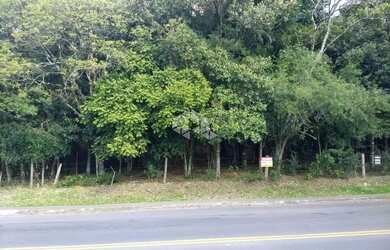 Imagem 5: TERRENO NO BAIRRO CRUZEIRO- CAXIAS DO SUL