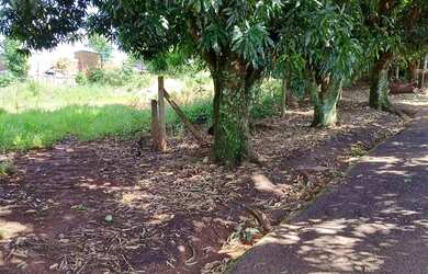 Imagem 3: Vendo terreno. 4.500m² de Área