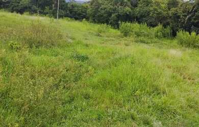 Imagem 6: Fazenda a venda no município de Sanclerlândia GO