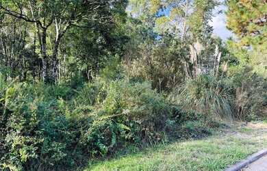 Imagem 5: Terreno à Venda em Gramado
