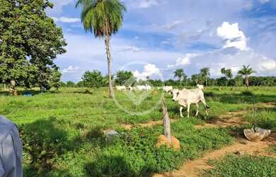 Imagem: A fazenda possui 50m² de Área, Piscina e está localizado