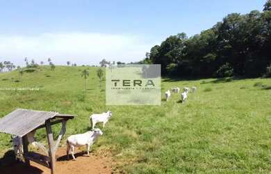 Imagem 5: Fazenda para Venda em Bela Vista de Goiás, Zona Rural