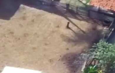 Imagem: A fazenda possui 1476200m² de Área e está localizado em Área