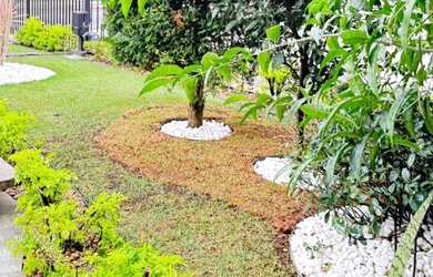 Imagem 3: Apartamento em Lauzane Paulista