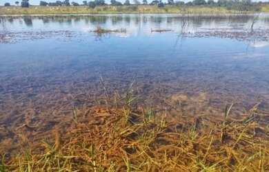 Imagem: A chácara possui 1000m² de Área e está localizado em Morada