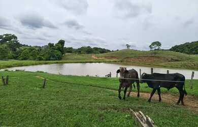 Imagem: A fazenda possui 48m² de Área e está localizado em Piracanjuba