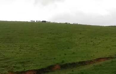 Imagem 4: VENDO FAZENDA 250 TAREFAS NA MELHOR REGIÃO DO ESTADO