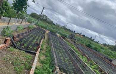 Imagem 11: Lotes na Fazenda Real Macaiba