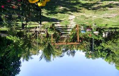 Imagem 12: Vende-se Chacara na Ilha Mende Sá -Itaporanga /Se