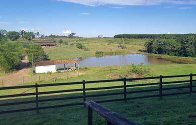 Imagem 10: Fazenda para venda em Santa Izabel na beira da pista