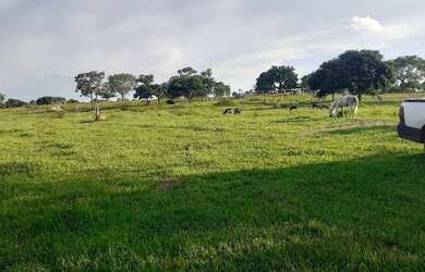 Imagem: A fazenda possui 4.300.000m² de Área e está localizado em
