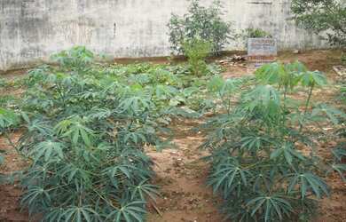 Imagem 8: TERRENO COMERCIAL em JUNDIAÍ - SP, VIZINHO PORTAL PARAIZO