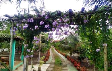 Imagem 8: Vende-se Chacara na Ilha Mende Sá -Itaporanga /Se