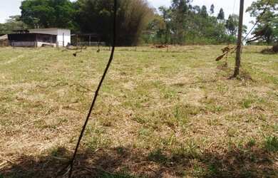 Imagem: A chácara possui 100000m² de Área e está localizado em Centro