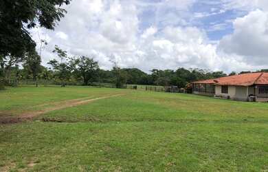 Imagem 16: Fazenda para venda em Santa Izabel na beira da pista
