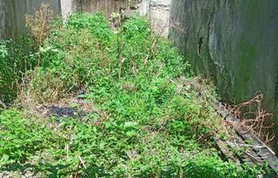 Imagem 2: Vendo terreno em Afogados