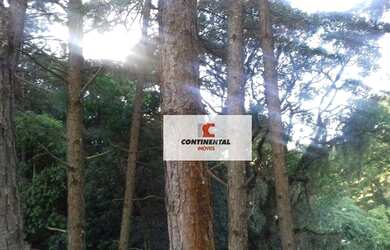 Imagem 4: Apartamento à venda, 53 m² por R$ 210.000,00 - Santa Terezinha - São...