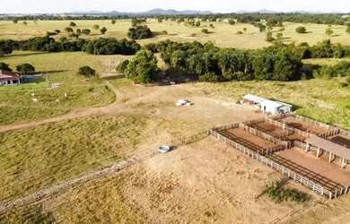 Imagem 4: Fazenda - Araguapaz - Goiás