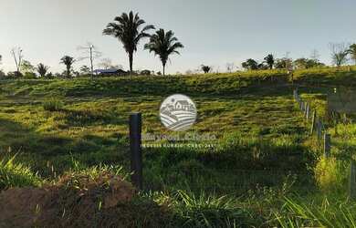 Imagem: A fazenda possui 120000m² de Área e está localizado em Theobroma
