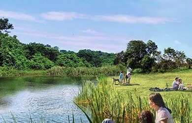 Imagem 10: Lote em Condomínio Fechado para Venda em Senador Canedo, Jardins Porto