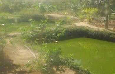 Imagem 1: Lindo Sítio em Viana. 1.200m² de Área