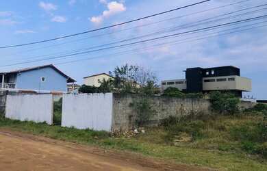 Imagem 6: RARIDADE EM ITAÚNA