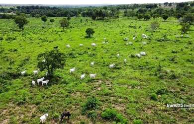Imagem 12: FAZENDA A VENDA NA REGIAO DE CAROLINA MARANHÃO. BEIRA DE ASFALTO