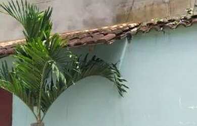 Imagem: A casa possui 2 Dormitórios, 1 Banheiro, 62m² de Área e