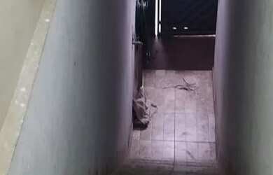 Imagem 4: Casa. 100m² de Área, 1 Banheiroe2 Dormitórios