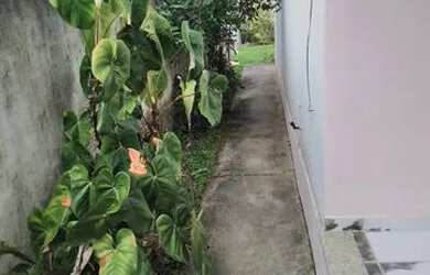 Imagem 3: Casa independente 2qtos junto Rodovia - Bananeiras - Araruama