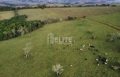 Imagem 5: 300 Hectares à Venda em Área de Plantio