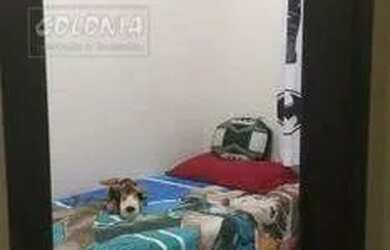 Imagem 4: Santo André - Apartamento Padrão - Parque Marajoara