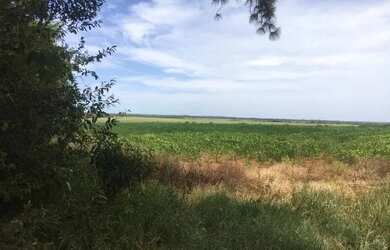 Imagem: A fazenda possui 800000m² de Área e está localizado em São