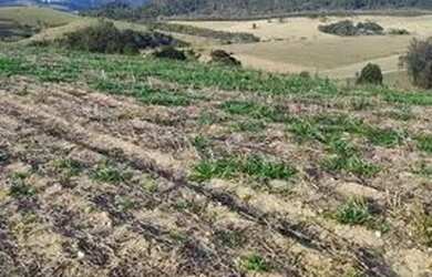 Imagem 4: Lote/Terreno para venda possui 500 metros quadrados em Nova Cerejeira - Atibaia - SP