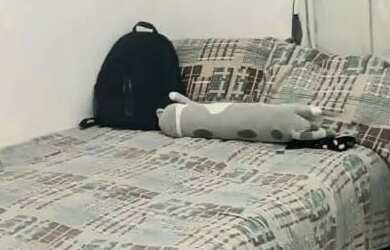 Imagem: O quarto está localizado em Barreto, Niterói para alugar por