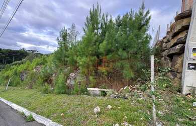 Imagem 5: Terreno à Venda em Gramado