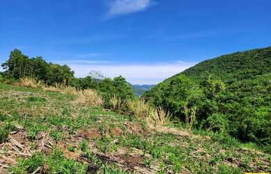 Imagem 7: Sítio / Chácara para Venda em Nova Petrópolis, Fazenda Pirajá