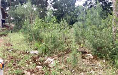 Imagem 13: Terreno - Bairro Dutra. 540m² de Área