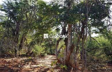 Imagem: A fazenda possui 12m² de Área, Imóvel novo e está localizado
