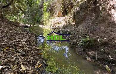 Imagem: A fazenda possui 35.000m² de Área e está localizado em Professor