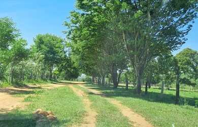 Imagem: A fazenda possui 400m² de Área e está localizado em Junco